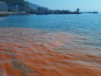 深圳水質(zhì)檢測機構